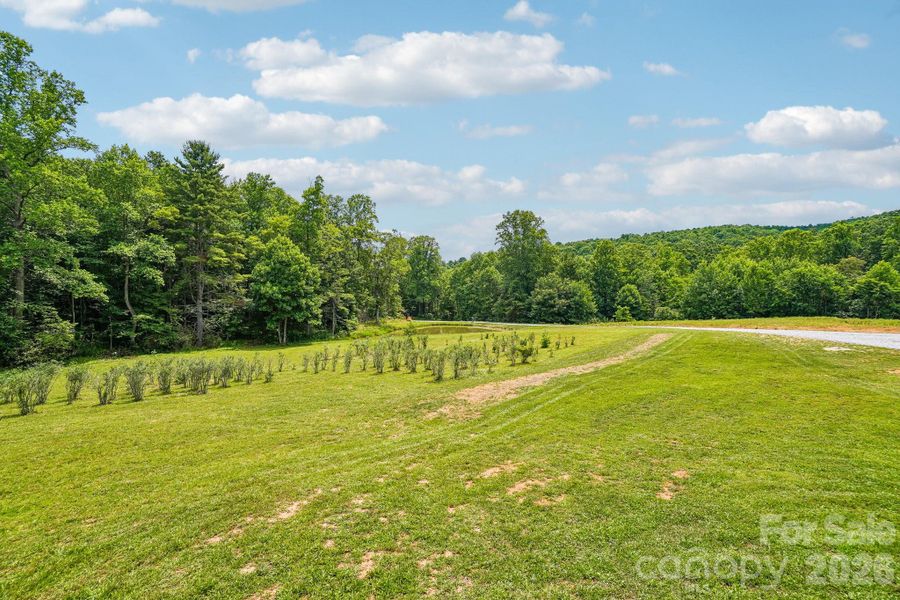 Natural landscape and outdoor views near in Spruce Pine (Image 35). Natural landscape and outdoor views near in Spruce Pine (Image 35).