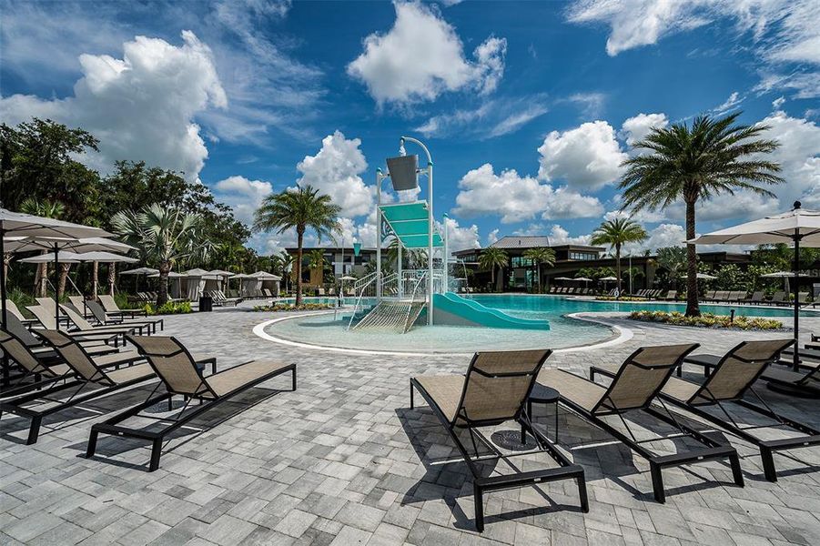 Community amenities in , Sarasota (Image 16). Community amenities in , Sarasota (Image 16).
