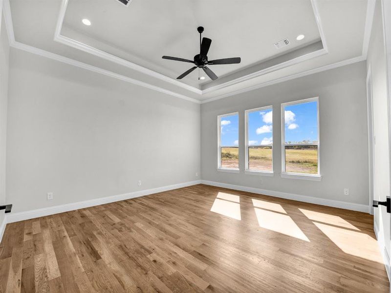 Spare room with crown molding, ceiling fan, light wood-type flooring, and a raised ceiling