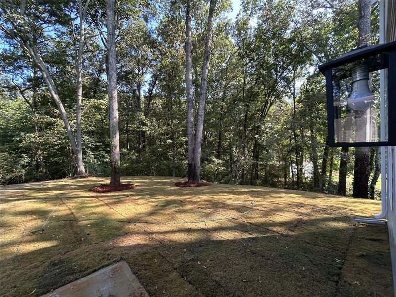 Natural landscape and outdoor views near  in Cartersville (Image 27).