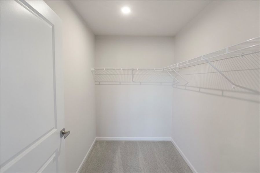 Spacious, unfurnished interior of a new home in Wren Woods 2-Story, Gray Court (Image 22).