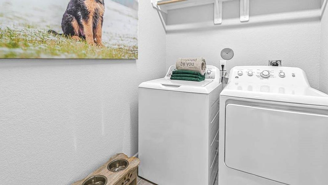 Representative Photo