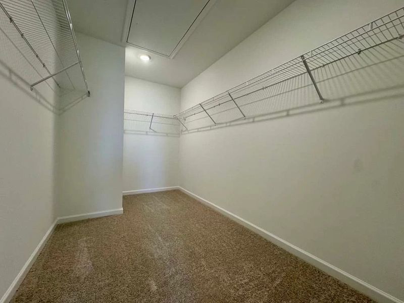 Primary Bedroom Walk-In Closet