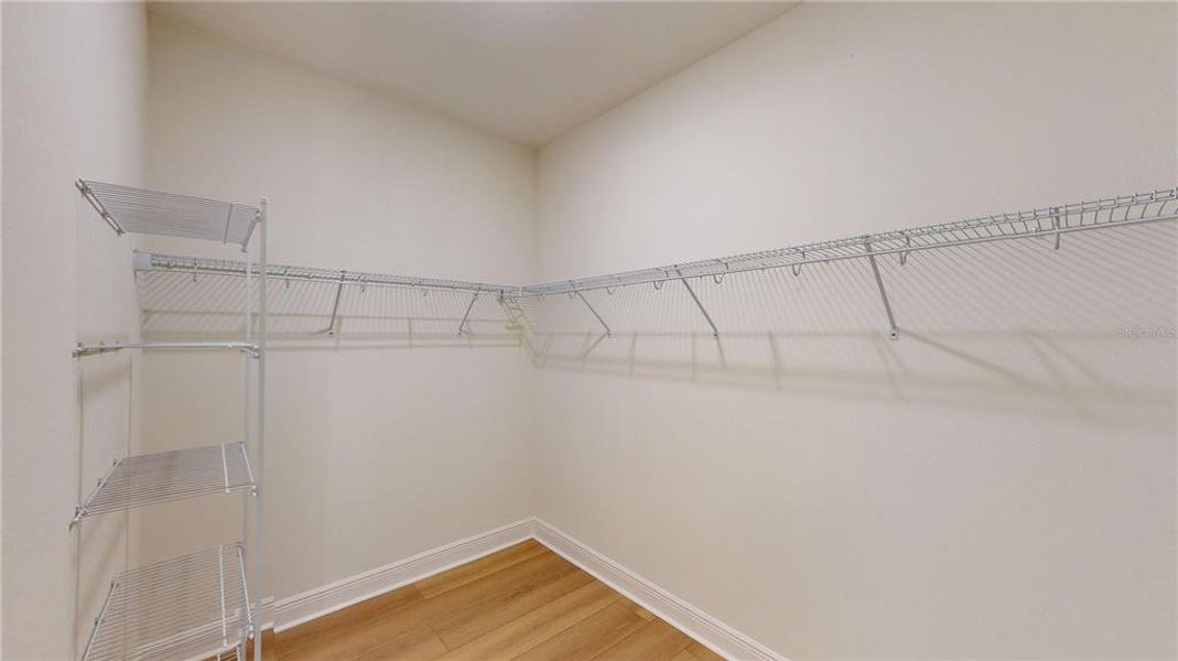 Spacious, unfurnished interior of a new home in Persimmon Park, Wesley Chapel (Image 18).