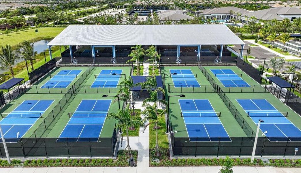new pickleball