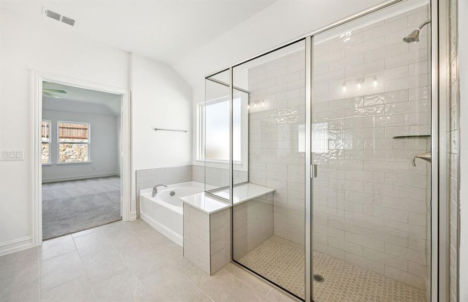 Large shower in owner's bath