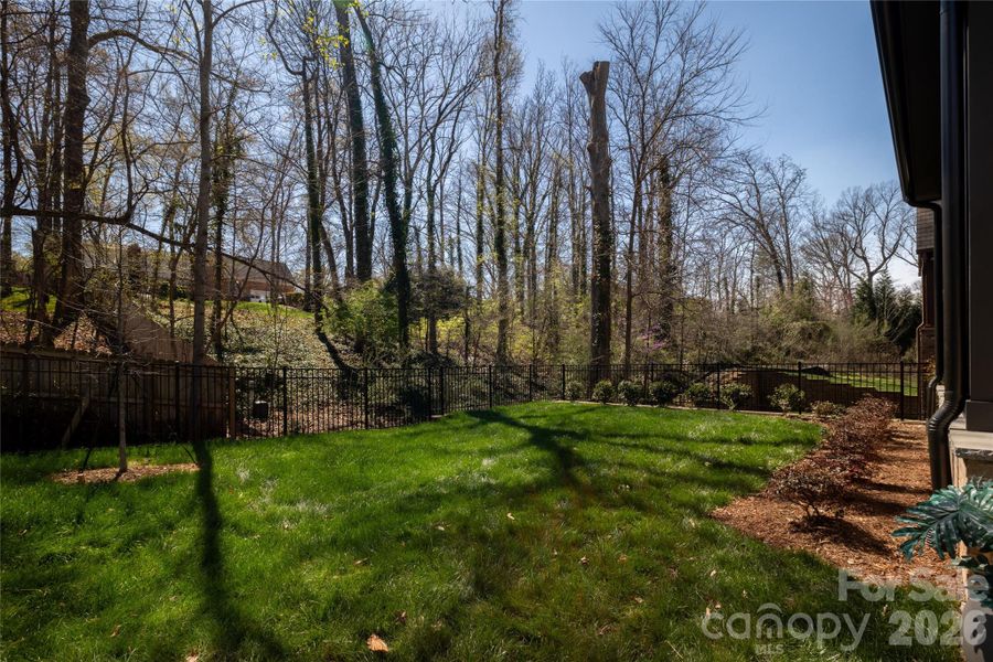 Natural landscape and outdoor views near  in Charlotte (Image 37).