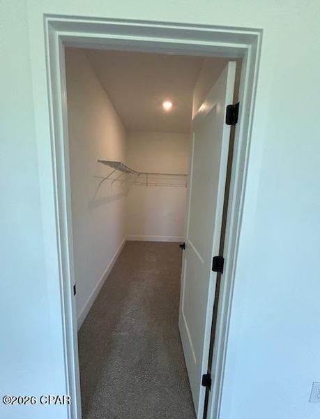 Spacious, unfurnished interior of a new home in Parkbrook, Panama City (Image 16).