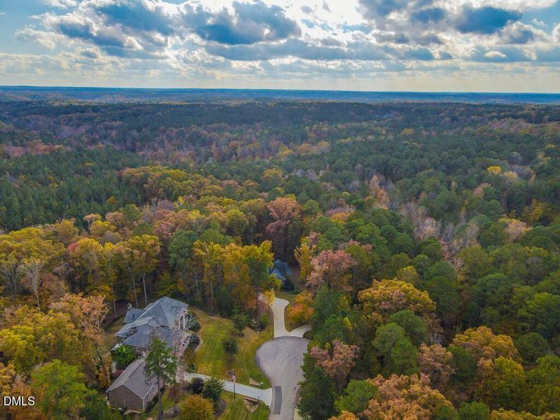 DJI_0954 (Medium)