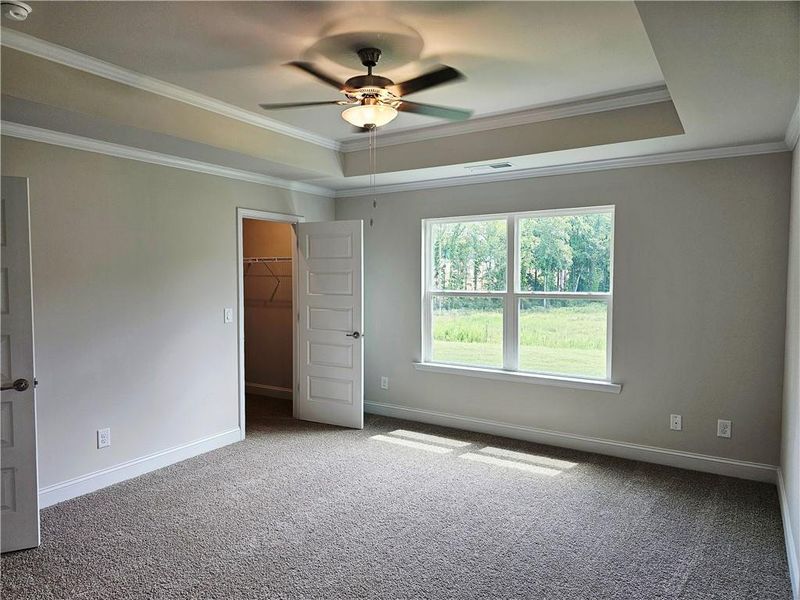 Spacious, unfurnished interior of a new home in Park Place, Bowdon (Image 12).