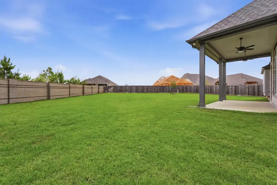 Large backyard