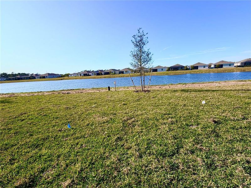 Natural landscape and outdoor views near Island Lakes at Coco Bay in Englewood (Image 27).