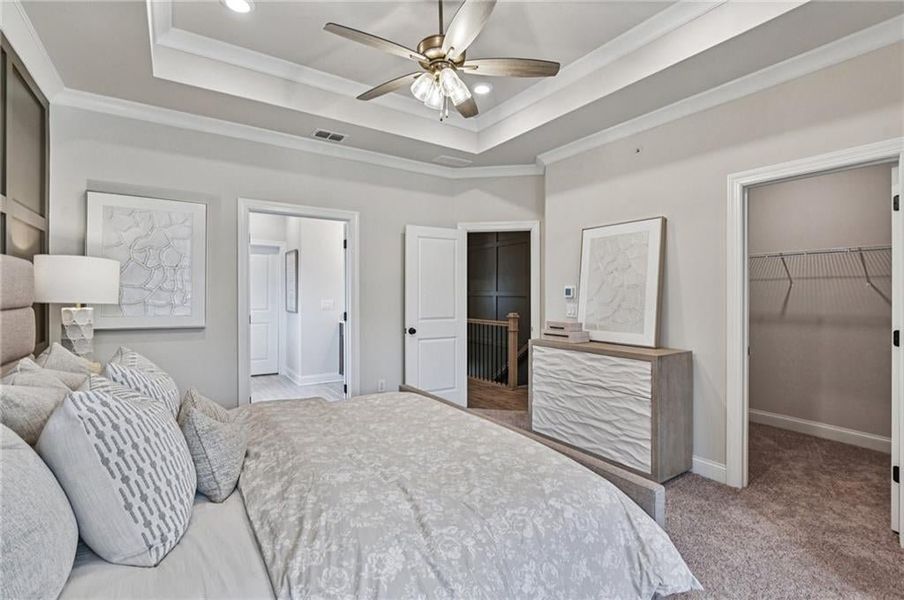 Bedroom featuring a walk in closet, a tray ceiling, ceiling fan, carpet floors, and ornamental molding