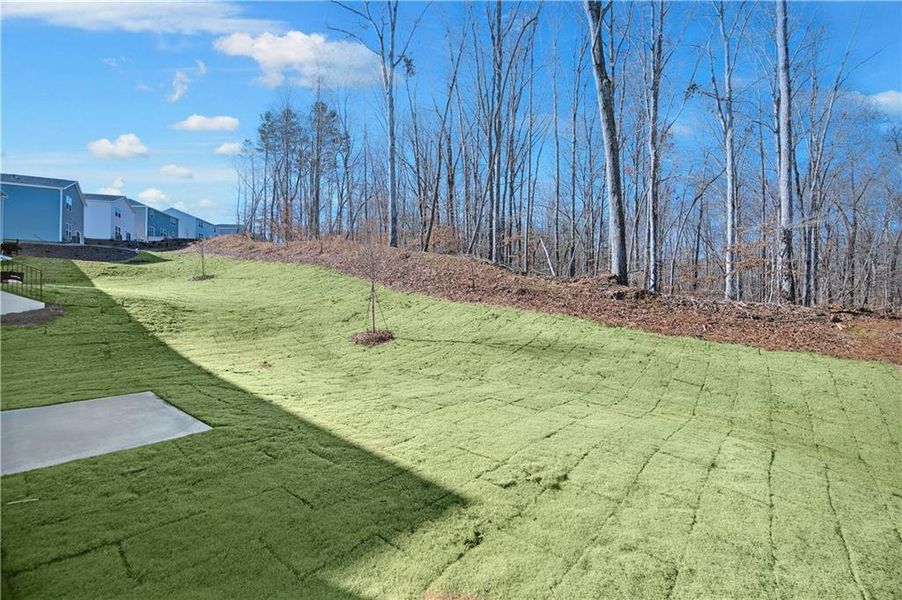 Natural landscape and outdoor views near Avery Ridge in Gainesville (Image 30).