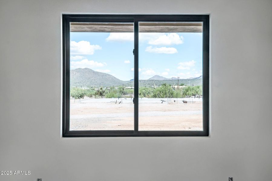 Black Anderson Windows