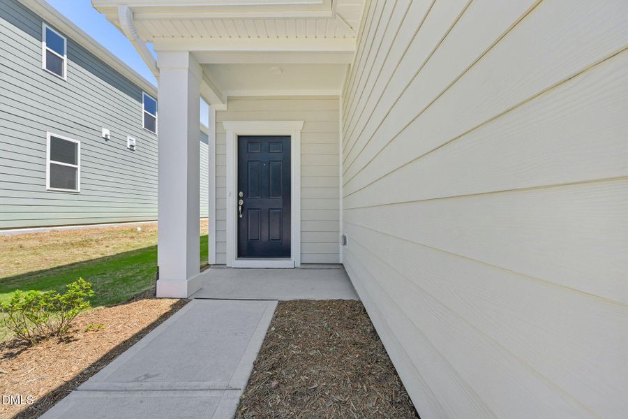 6-web-or-mls-Rabbitbrush St-S2304-006