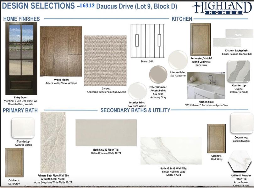 design selections  16312 Daucus