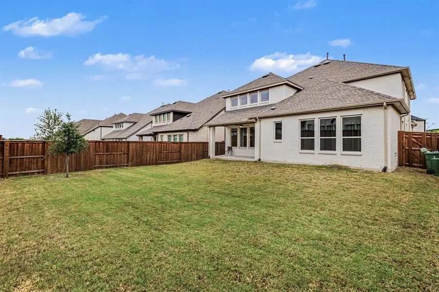 Back yard