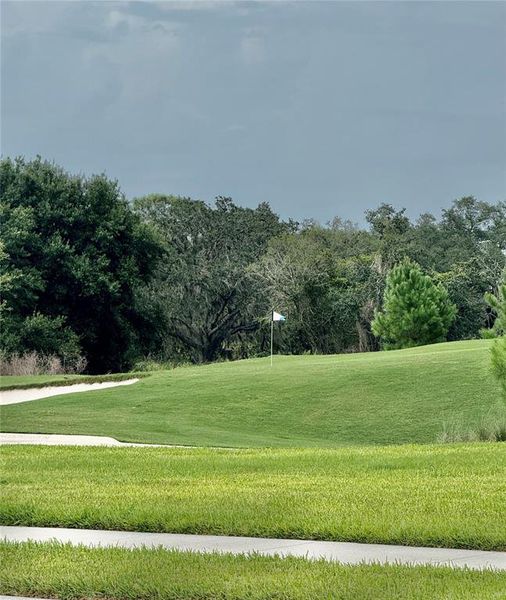 Natural landscape and outdoor views near Calusa Country Club in Lakewood Ranch (Image 35). Natural landscape and outdoor views near Calusa Country Club in Lakewood Ranch (Image 35).