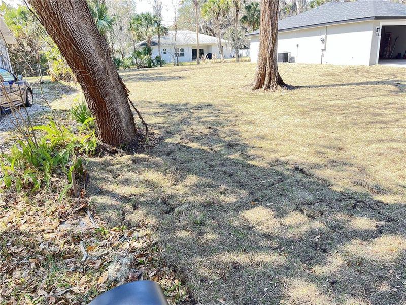 Natural landscape and outdoor views near  in Edgewater (Image 18).