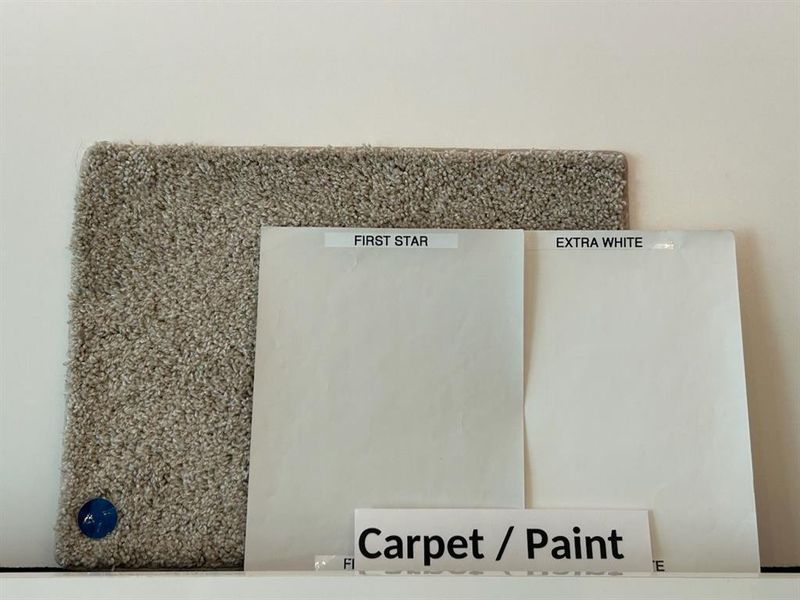 Carpet and Paint Selections