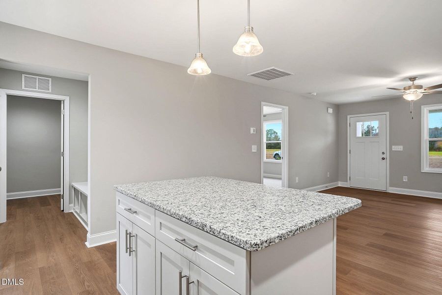 14-web-or-mls-244 Rae St-34