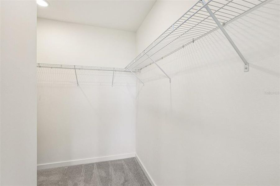 Spacious, unfurnished interior of a new home in Willowbrook North, Winter Haven (Image 28). Spacious, unfurnished interior of a new home in Willowbrook North, Winter Haven (Image 28).