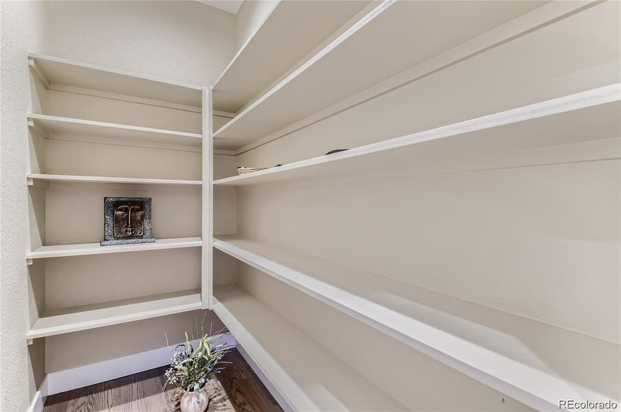 A roomy walk-in pantry is just off the kitchen for all your storage needs!