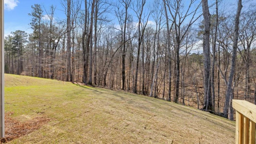Natural landscape and outdoor views near South Wind in Union City (Image 34).