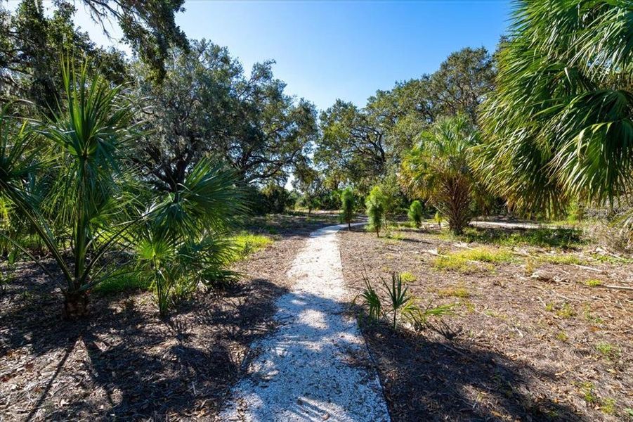 Natural landscape and outdoor views near  in Parrish (Image 50).