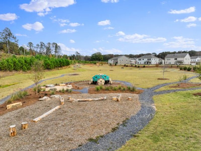 Community amenities in Stratford Hills, Ball Ground (Image 37). Community amenities in Stratford Hills, Ball Ground (Image 37).
