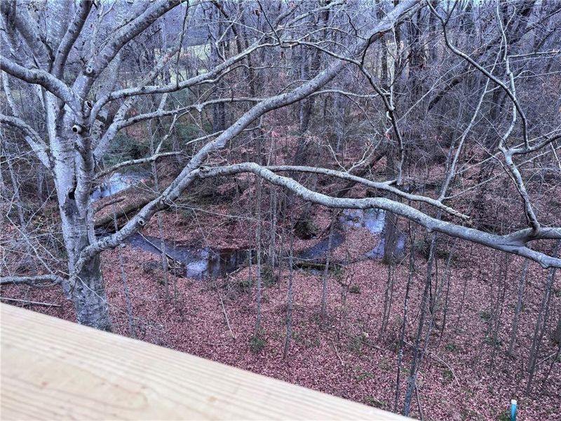 Natural landscape and outdoor views near Magnolia Villas in Cornelia (Image 34). Natural landscape and outdoor views near Magnolia Villas in Cornelia (Image 34).