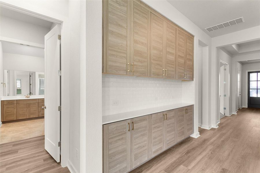 REPRESENTATIVE PHOTO