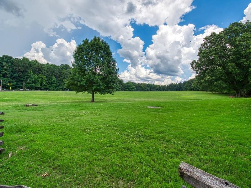 Natural landscape and outdoor views near Townes at South Main in Kennesaw (Image 15).