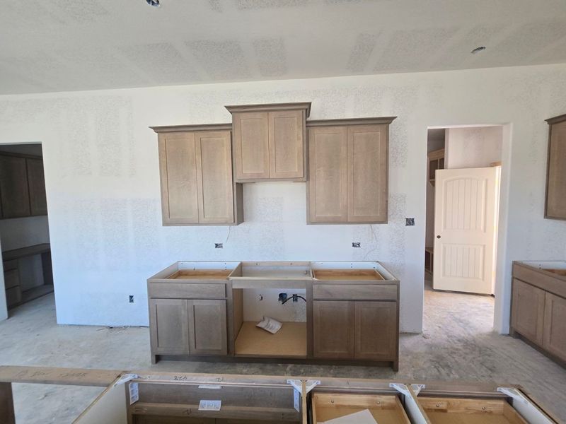 In-progress construction of a new home in Morningstar, Aledo, TX (Image 10).