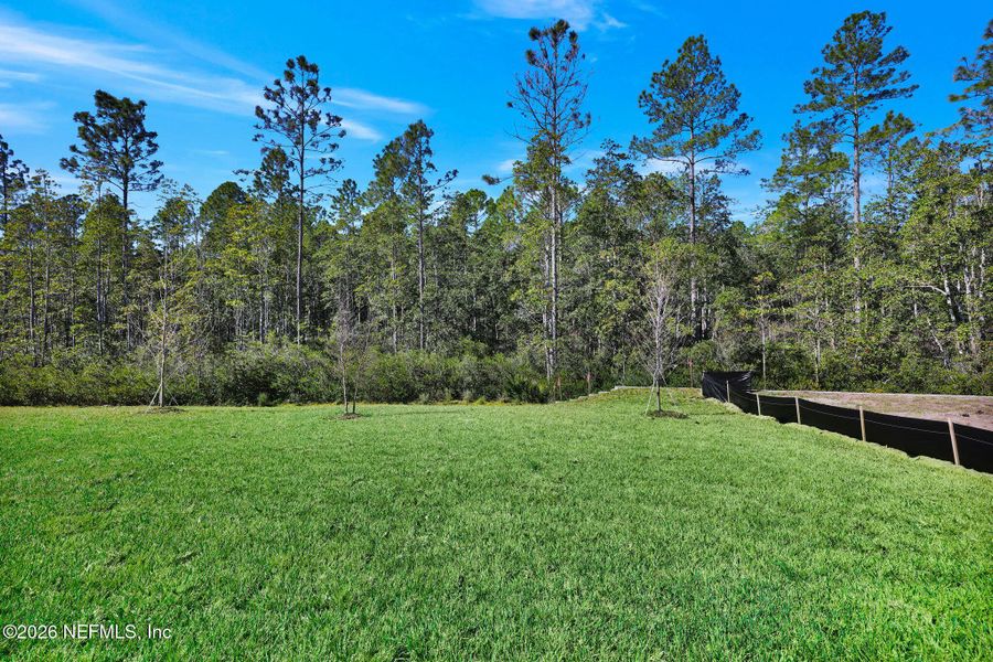 Natural landscape and outdoor views near  in Ponte Vedra (Image 38).