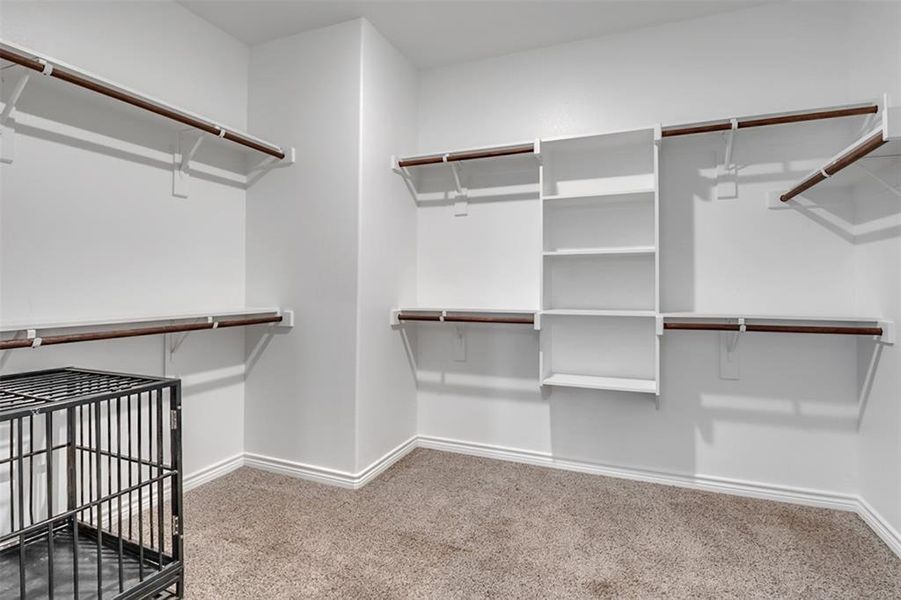 Walk in closet with carpet flooring