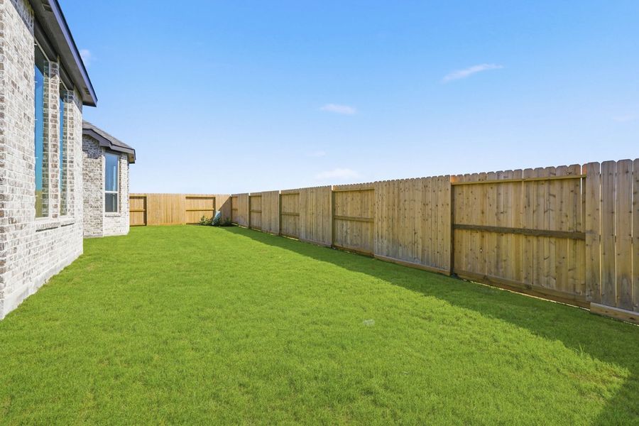 Backyard