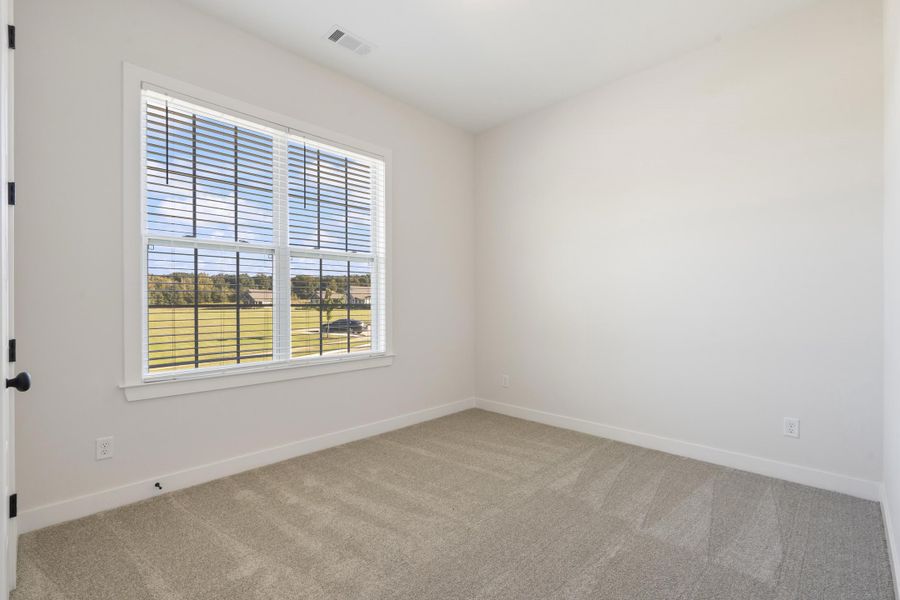 Light gray wall paint, large window with blinds, light gray carpet, and white trim