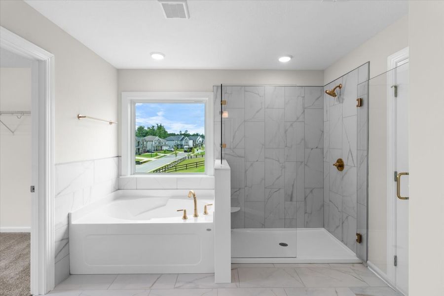 Primary Bathroom Tub and Shower | 250 Prominence Drive in Tillery Park Primary Bathroom Tub and Shower | 250 Prominence Drive in Tillery Park