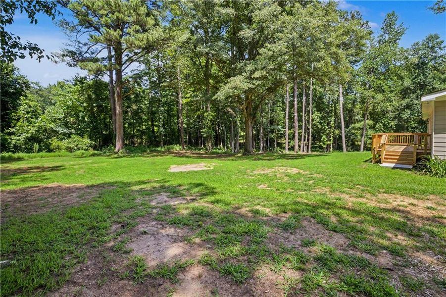 Natural landscape and outdoor views near  in Fayetteville (Image 31).
