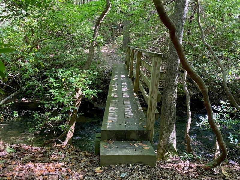 Natural landscape and outdoor views near  in Jasper (Image 22).