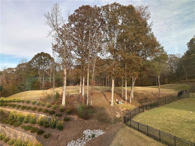 Natural landscape and outdoor views near Reunion in Hoschton (Image 49).