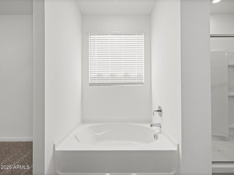 Primary Bathroom Primary Bathroom