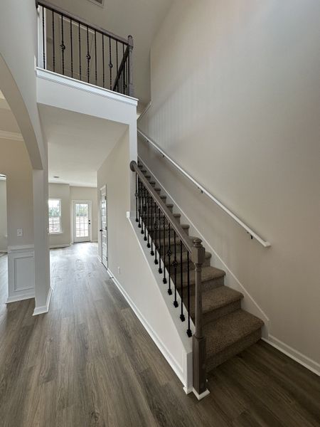 Spacious, unfurnished interior of a new home in Tibet Road at Sassafras, Allenhurst (Image 11).