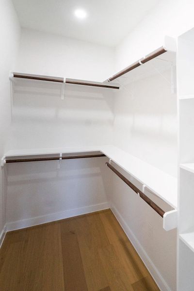 Spacious closet featuring dark wood finished floors