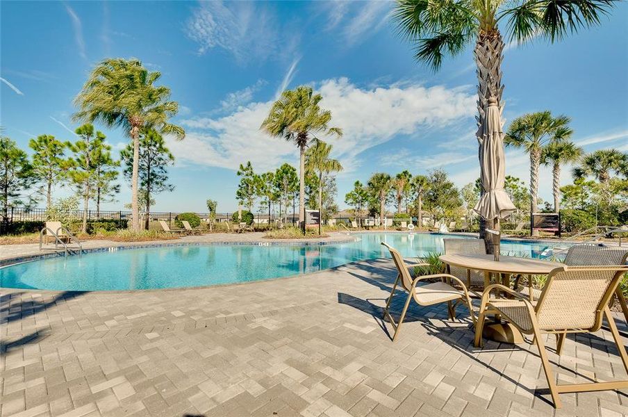 Community amenities in , Bradenton (Image 49).