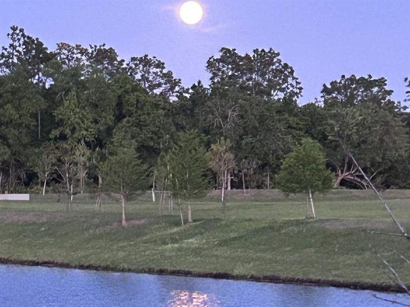 Natural landscape and outdoor views near Havenfield at Crossprairie in St. Cloud (Image 61).
