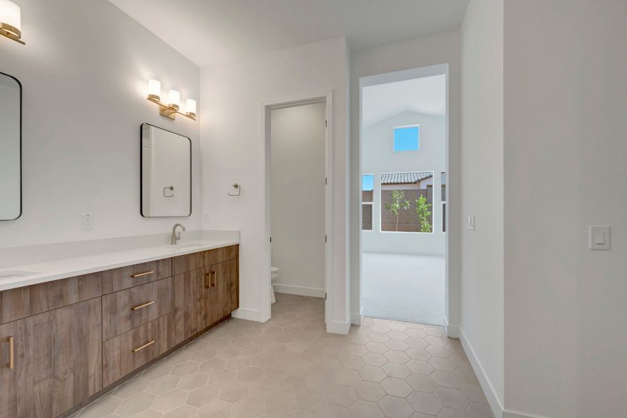 Owner's Bath