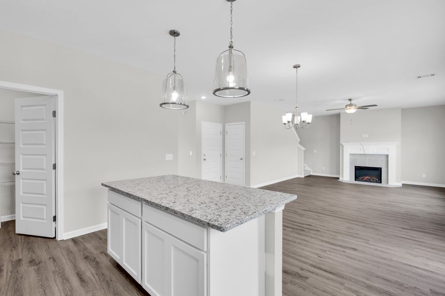 Representative furnished interior of a home built from the The Palmyra by RTS Homes in Doctor's Creek, Ludowici (Image 9).